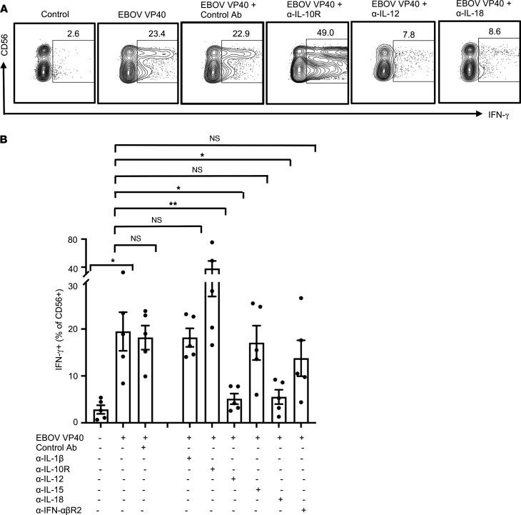 https://cdn.ncbi.nlm.nih.gov/pmc/blobs/2e73/9462474/56e72878734e/jciinsight-7-158902-g212.jpg