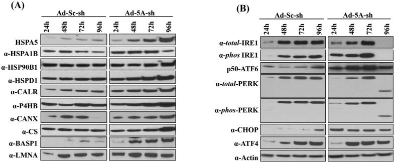 https://cdn.ncbi.nlm.nih.gov/pmc/blobs/2e74/4867578/2b972a512c1c/srep25795-f5.jpg