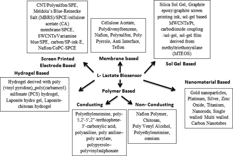 https://cdn.ncbi.nlm.nih.gov/pmc/blobs/2e75/5600356/a76df2dc6162/gr6.jpg