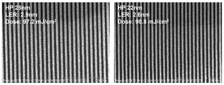 https://cdn.ncbi.nlm.nih.gov/pmc/blobs/2e79/11988993/114820d1b2a5/ijms-26-03027-g003.jpg