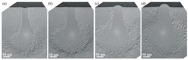 https://cdn.ncbi.nlm.nih.gov/pmc/blobs/2e79/11988993/e79db1303d29/ijms-26-03027-g014.jpg
