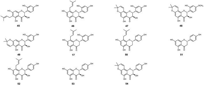 https://cdn.ncbi.nlm.nih.gov/pmc/blobs/2e79/8131645/142f9f250a47/41598_2021_90035_Fig5_HTML.jpg
