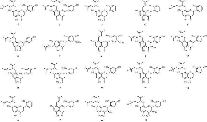 https://cdn.ncbi.nlm.nih.gov/pmc/blobs/2e79/8131645/4b5fc3991384/41598_2021_90035_Fig1_HTML.jpg