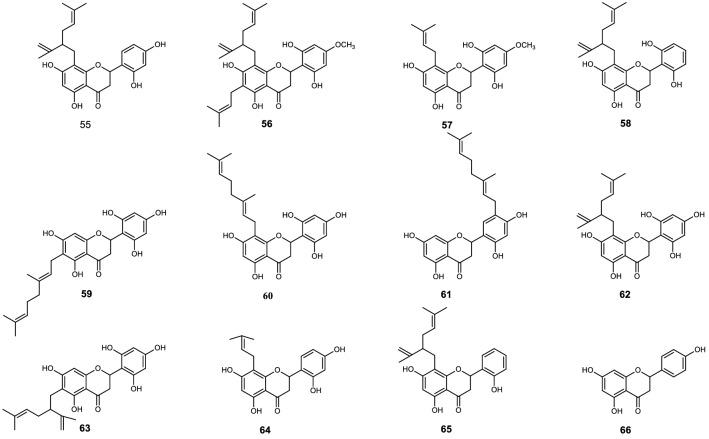 https://cdn.ncbi.nlm.nih.gov/pmc/blobs/2e79/8131645/5f856fc99723/41598_2021_90035_Fig6_HTML.jpg