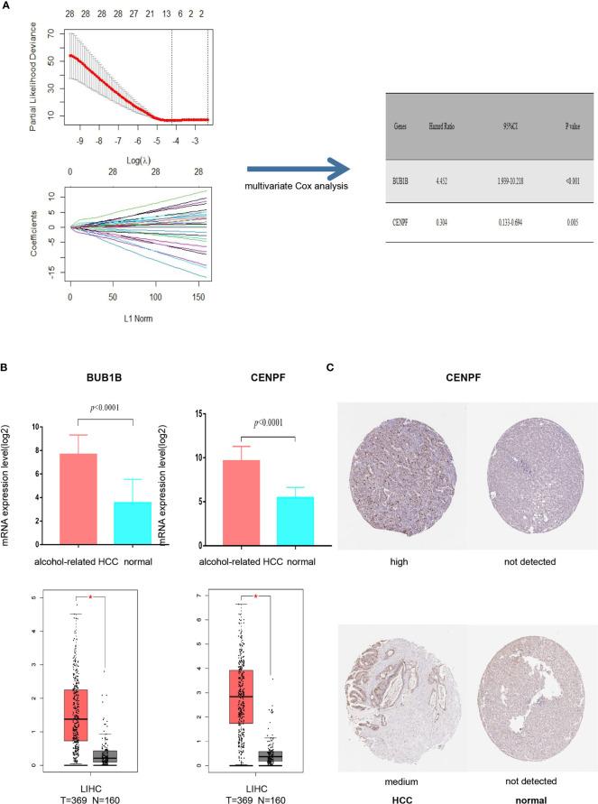 https://cdn.ncbi.nlm.nih.gov/pmc/blobs/2e7a/8503534/42731db6a794/fonc-11-719355-g004.jpg