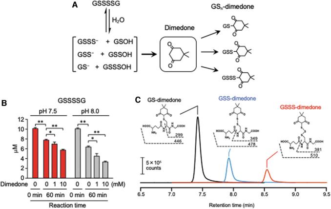 https://cdn.ncbi.nlm.nih.gov/pmc/blobs/2e7a/8865625/30d9bf1a5bbc/ars.2021.0170_figure2.jpg