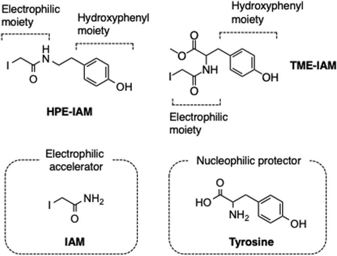 https://cdn.ncbi.nlm.nih.gov/pmc/blobs/2e7a/8865625/abc15f8efcb6/ars.2021.0170_figure4.jpg