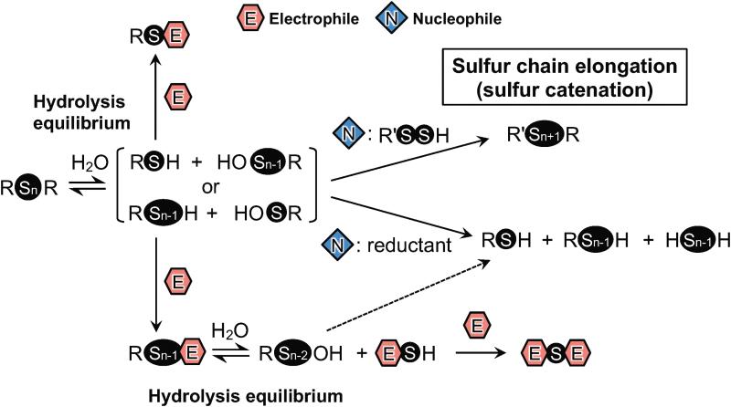 https://cdn.ncbi.nlm.nih.gov/pmc/blobs/2e7a/8865625/ad481ccb1ea8/ars.2021.0170_figure1.jpg