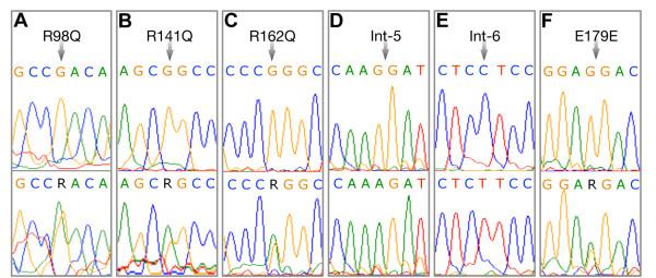 https://cdn.ncbi.nlm.nih.gov/pmc/blobs/2e7b/3495047/46e032b44889/1471-2350-13-69-1.jpg