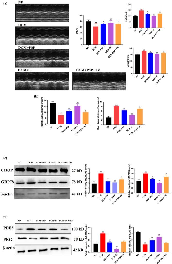 https://cdn.ncbi.nlm.nih.gov/pmc/blobs/2e7d/11215682/35e14f87ce38/JDI-15-823-g007.jpg