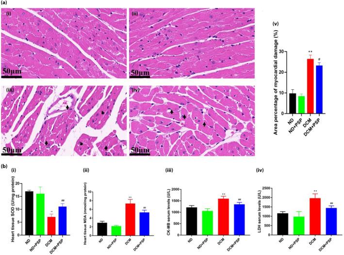 https://cdn.ncbi.nlm.nih.gov/pmc/blobs/2e7d/11215682/3ad57d2dcfff/JDI-15-823-g005.jpg