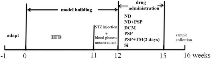 https://cdn.ncbi.nlm.nih.gov/pmc/blobs/2e7d/11215682/c0c57883997d/JDI-15-823-g001.jpg