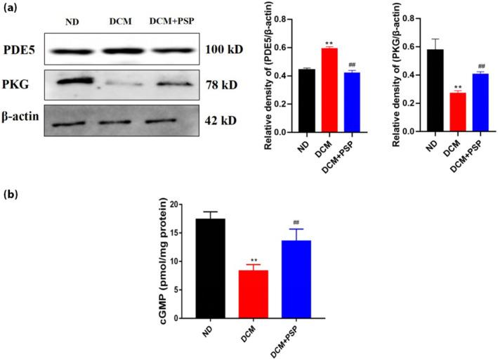 https://cdn.ncbi.nlm.nih.gov/pmc/blobs/2e7d/11215682/f3572e7e0b71/JDI-15-823-g006.jpg