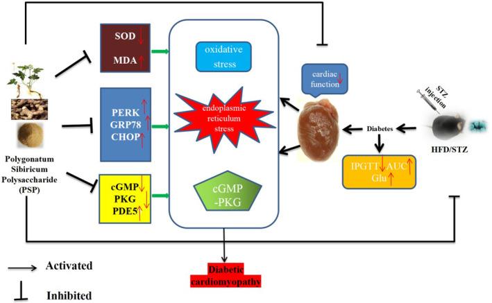 https://cdn.ncbi.nlm.nih.gov/pmc/blobs/2e7d/11215682/f4b1d07246a7/JDI-15-823-g003.jpg