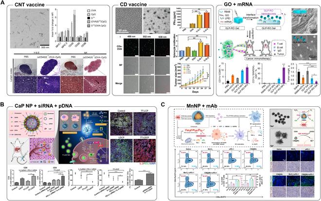 https://cdn.ncbi.nlm.nih.gov/pmc/blobs/2e7d/11423863/31929b7a351f/bmr.0086.fig.003.jpg