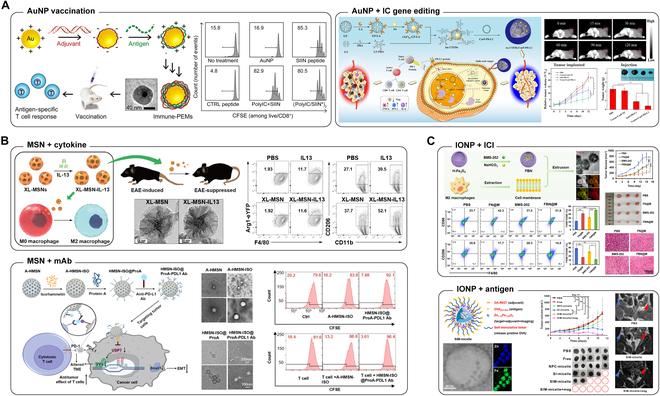 https://cdn.ncbi.nlm.nih.gov/pmc/blobs/2e7d/11423863/539df03f5cfe/bmr.0086.fig.002.jpg