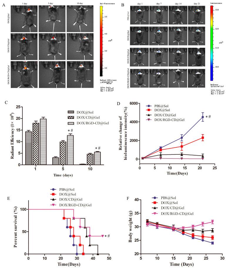 https://cdn.ncbi.nlm.nih.gov/pmc/blobs/2e7d/12298666/54e6ebda2c38/pharmaceutics-17-00938-g005.jpg