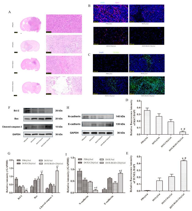 https://cdn.ncbi.nlm.nih.gov/pmc/blobs/2e7d/12298666/5b37258a6e9e/pharmaceutics-17-00938-g006.jpg