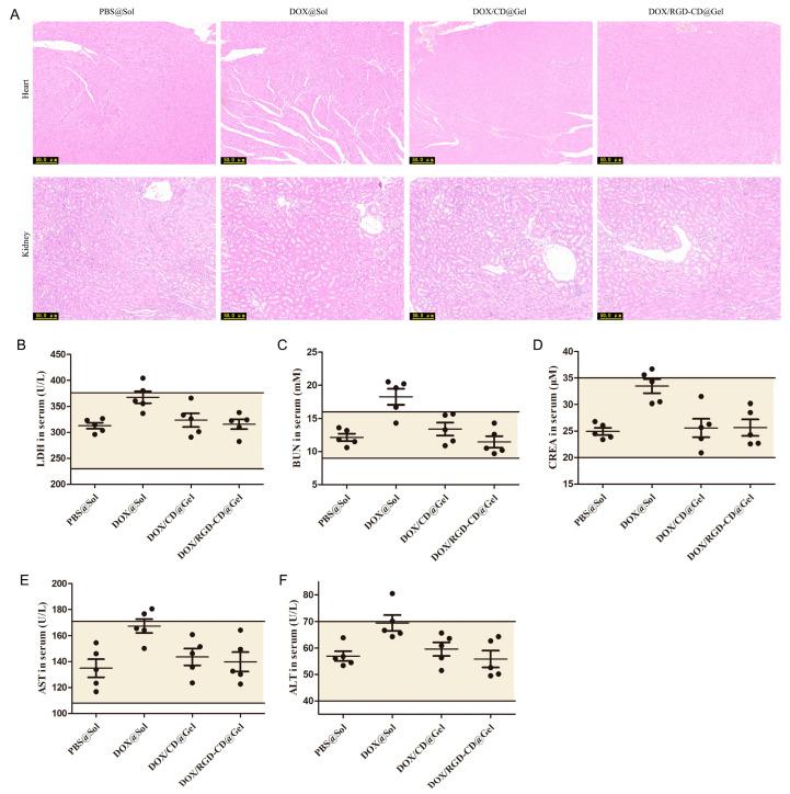 https://cdn.ncbi.nlm.nih.gov/pmc/blobs/2e7d/12298666/6ed7a532b7af/pharmaceutics-17-00938-g007.jpg