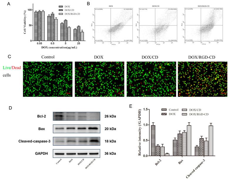 https://cdn.ncbi.nlm.nih.gov/pmc/blobs/2e7d/12298666/9dd0f3e68f6e/pharmaceutics-17-00938-g001.jpg