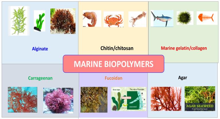 https://cdn.ncbi.nlm.nih.gov/pmc/blobs/2e81/10343474/780ff71e5ad5/materials-16-04840-g001.jpg