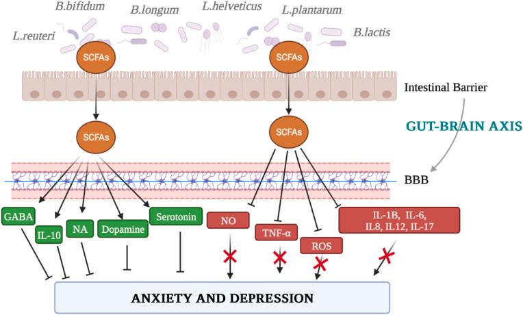 https://cdn.ncbi.nlm.nih.gov/pmc/blobs/2e81/11069002/3693431a72ed/gr4.jpg