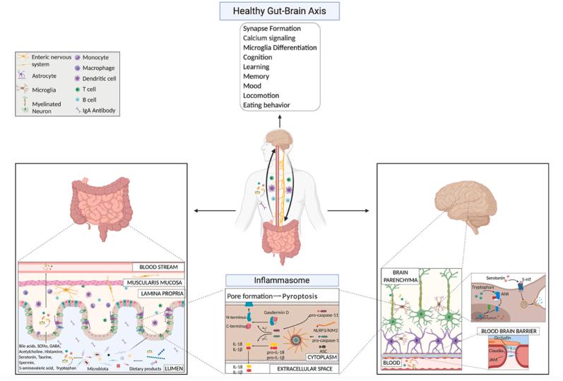 https://cdn.ncbi.nlm.nih.gov/pmc/blobs/2e81/11069002/5774cd809a3d/gr2.jpg
