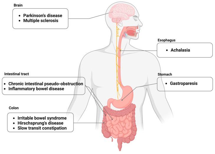 https://cdn.ncbi.nlm.nih.gov/pmc/blobs/2e82/10526372/7400f129ca16/biomolecules-13-01358-g001.jpg