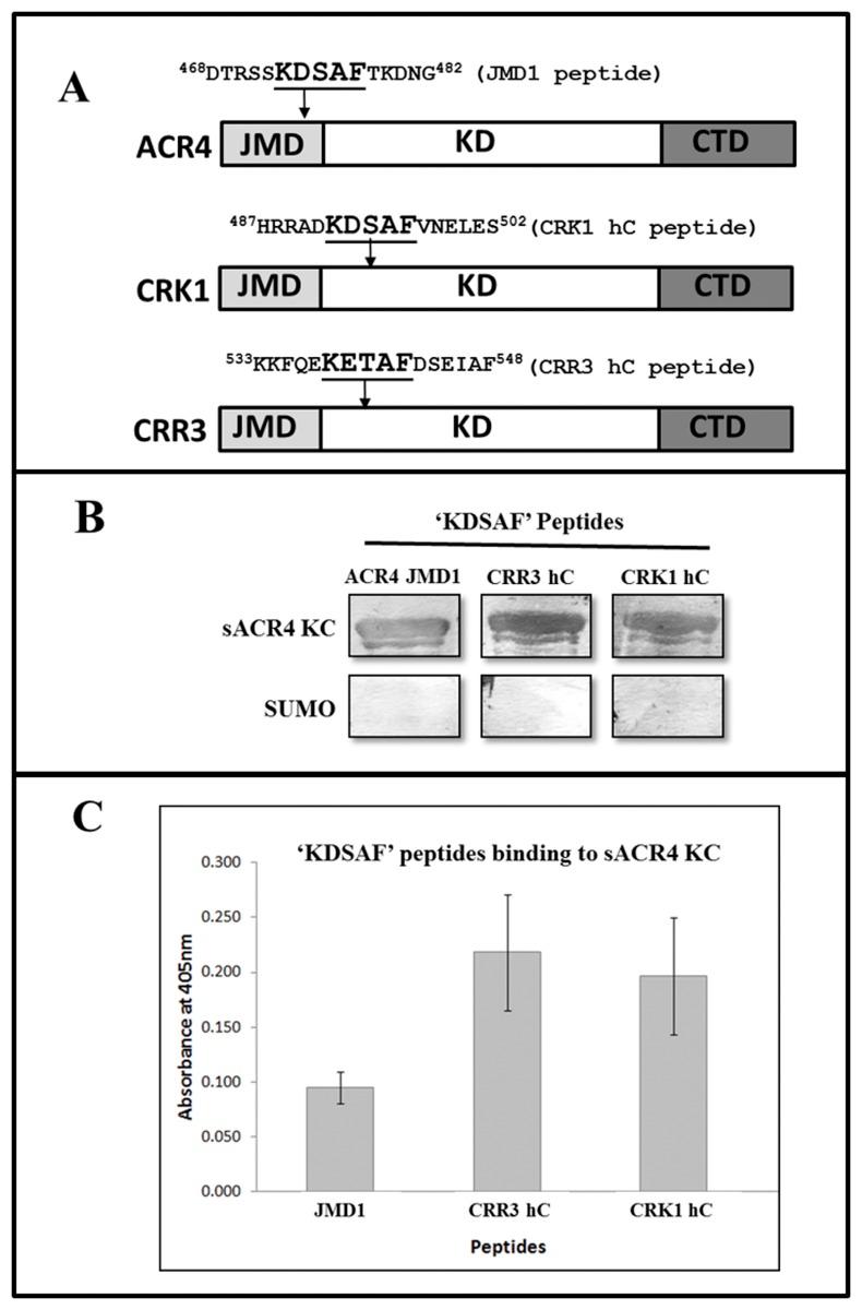 https://cdn.ncbi.nlm.nih.gov/pmc/blobs/2e82/4355418/3152a88f950a/pone.0118861.g005.jpg