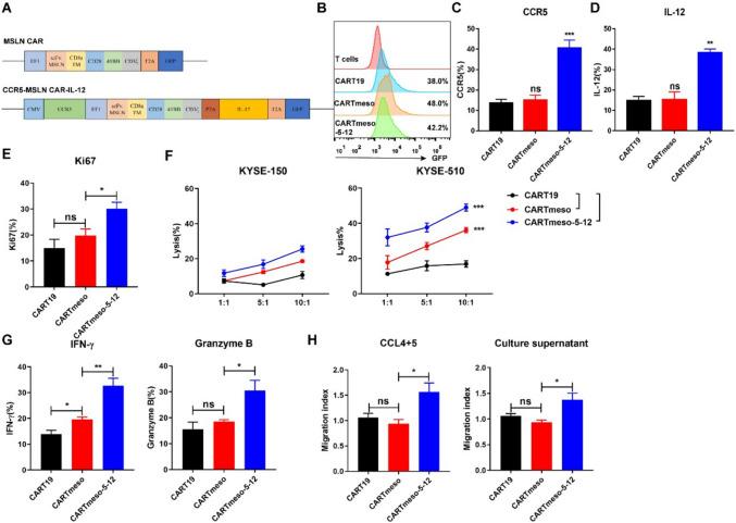 https://cdn.ncbi.nlm.nih.gov/pmc/blobs/2e84/11699016/3760d90b754b/262_2024_3909_Fig3_HTML.jpg