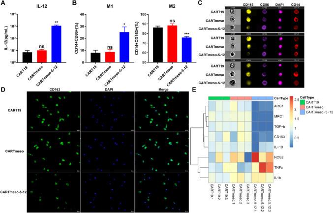 https://cdn.ncbi.nlm.nih.gov/pmc/blobs/2e84/11699016/74e25ebb4a42/262_2024_3909_Fig4_HTML.jpg