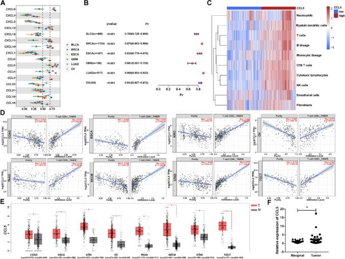 https://cdn.ncbi.nlm.nih.gov/pmc/blobs/2e84/11699016/b38ea92c7b28/262_2024_3909_Fig1_HTML.jpg