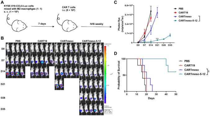 https://cdn.ncbi.nlm.nih.gov/pmc/blobs/2e84/11699016/c2d8e6ea7dee/262_2024_3909_Fig6_HTML.jpg
