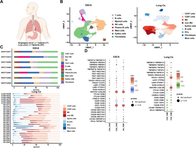https://cdn.ncbi.nlm.nih.gov/pmc/blobs/2e84/11699016/d54a3a47d161/262_2024_3909_Fig2_HTML.jpg