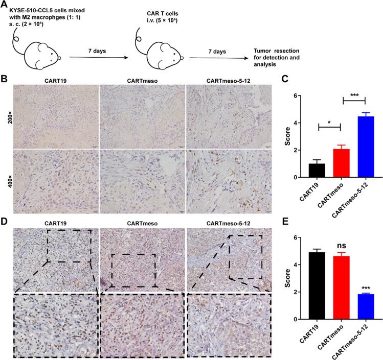 https://cdn.ncbi.nlm.nih.gov/pmc/blobs/2e84/11699016/daac9660fe95/262_2024_3909_Fig5_HTML.jpg