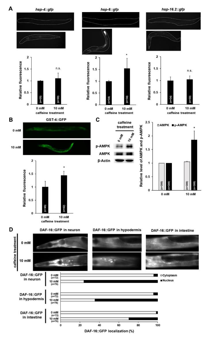 https://cdn.ncbi.nlm.nih.gov/pmc/blobs/2e84/7694071/0323a92ca3a9/nutrients-12-03348-g003.jpg