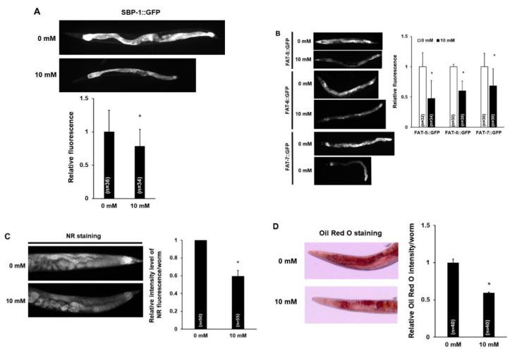 https://cdn.ncbi.nlm.nih.gov/pmc/blobs/2e84/7694071/9930b256fcd0/nutrients-12-03348-g004.jpg
