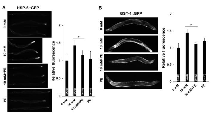 https://cdn.ncbi.nlm.nih.gov/pmc/blobs/2e84/7694071/faf6e08c0fd2/nutrients-12-03348-g006a.jpg