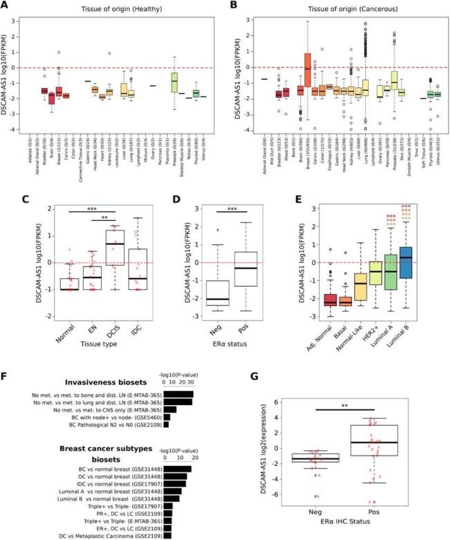 https://cdn.ncbi.nlm.nih.gov/pmc/blobs/2e87/4823100/174d4fdd78fa/oncotarget-07-3201-g004.jpg