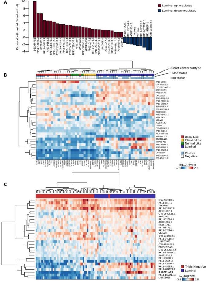 https://cdn.ncbi.nlm.nih.gov/pmc/blobs/2e87/4823100/5a7cc94fd5ed/oncotarget-07-3201-g003.jpg