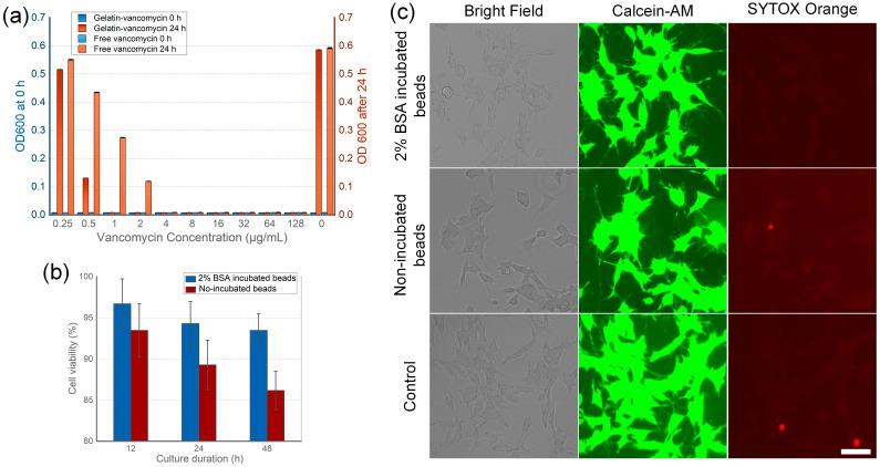 https://cdn.ncbi.nlm.nih.gov/pmc/blobs/2e8a/10857596/7917d90ca002/nanomaterials-14-00302-g003.jpg