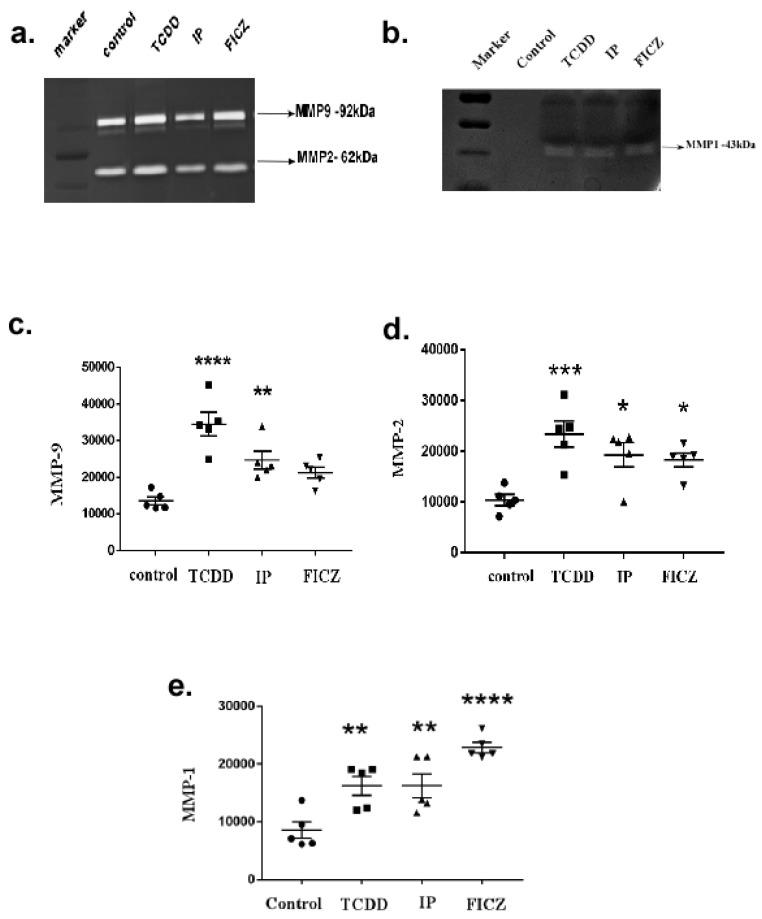 https://cdn.ncbi.nlm.nih.gov/pmc/blobs/2e8b/9696907/1925b29244bb/toxics-10-00642-g006.jpg