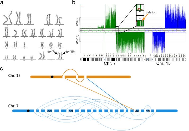https://cdn.ncbi.nlm.nih.gov/pmc/blobs/2e8c/11377696/7291e6a08e9b/41598_2024_70566_Fig3_HTML.jpg