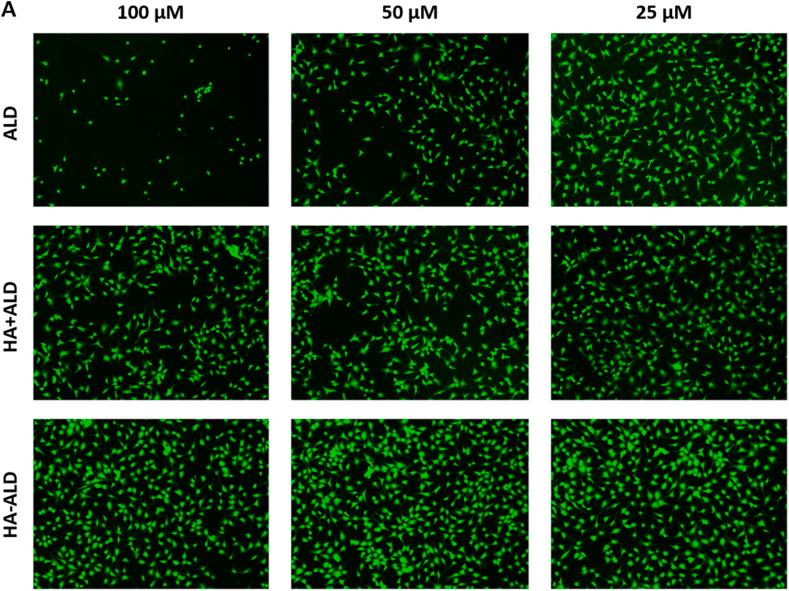 https://cdn.ncbi.nlm.nih.gov/pmc/blobs/2e8f/9718194/74c4f5af5aef/gr6a.jpg