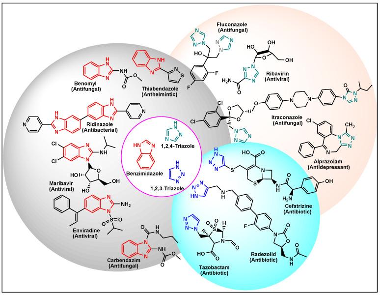 https://cdn.ncbi.nlm.nih.gov/pmc/blobs/2e90/10376251/1213830802f8/antibiotics-12-01220-g001.jpg
