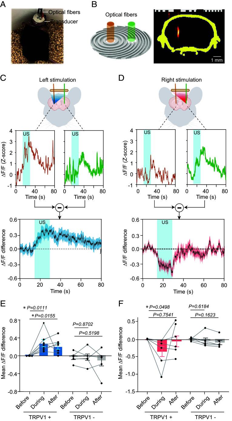 https://cdn.ncbi.nlm.nih.gov/pmc/blobs/2e90/11214095/784e518c6997/pnas.2402200121fig04.jpg