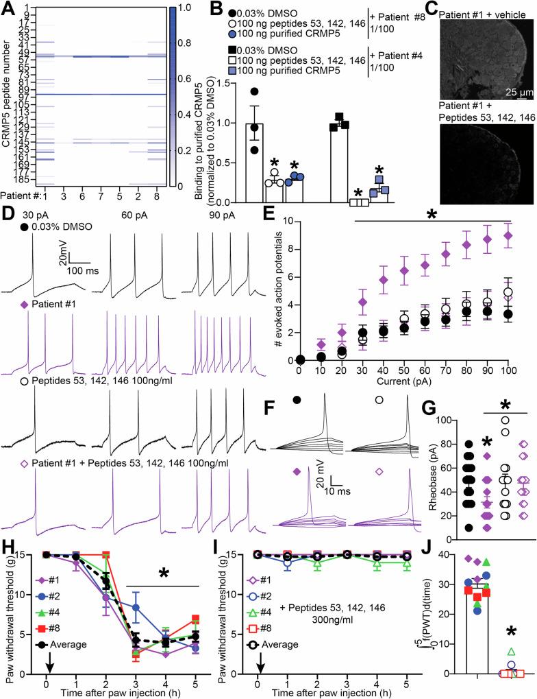 https://cdn.ncbi.nlm.nih.gov/pmc/blobs/2e92/12332130/88cf4e9eff01/41467_2025_62380_Fig2_HTML.jpg