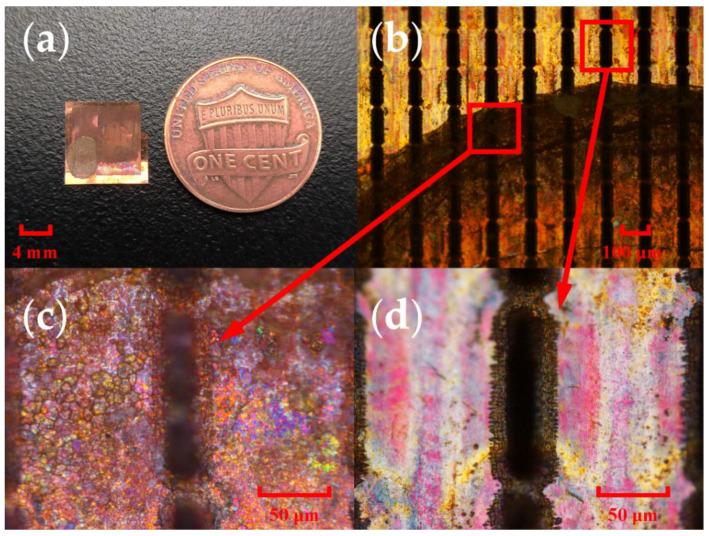 https://cdn.ncbi.nlm.nih.gov/pmc/blobs/2e92/9694246/17b3b142ca38/micromachines-13-01902-g006.jpg