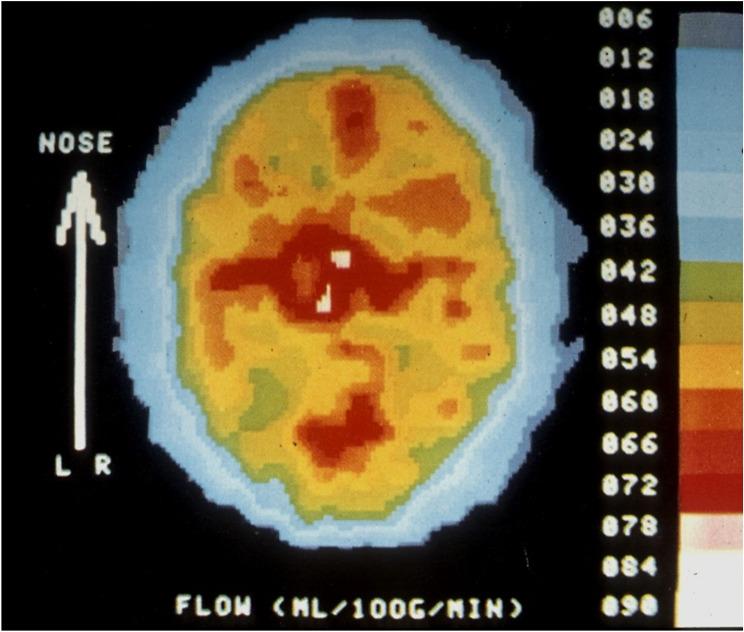 https://cdn.ncbi.nlm.nih.gov/pmc/blobs/2e93/11656563/35dc8f6ae85b/10194_2024_1903_Fig4_HTML.jpg