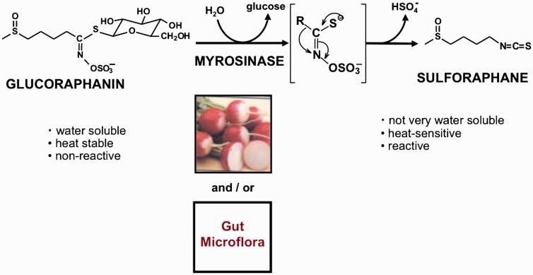 https://cdn.ncbi.nlm.nih.gov/pmc/blobs/2e94/5672987/f56e7792055a/10.1177_2164957X17735826-fig1.jpg